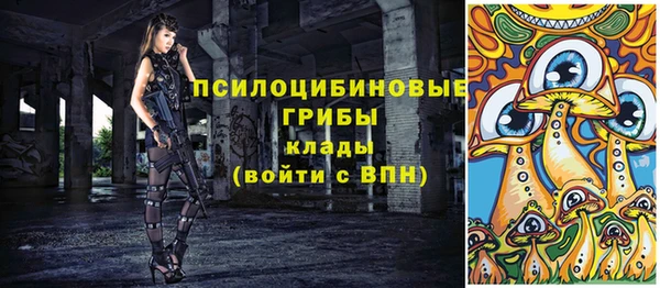 стафф Дмитров