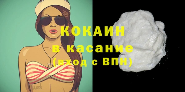 стаф Дмитровск