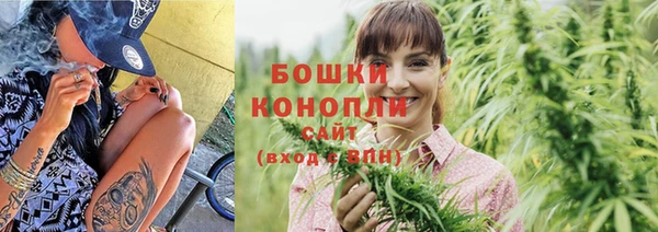 стафф Дмитров