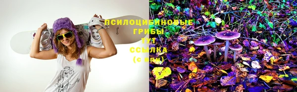 индика Вуктыл