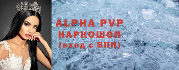 стаф Дмитровск