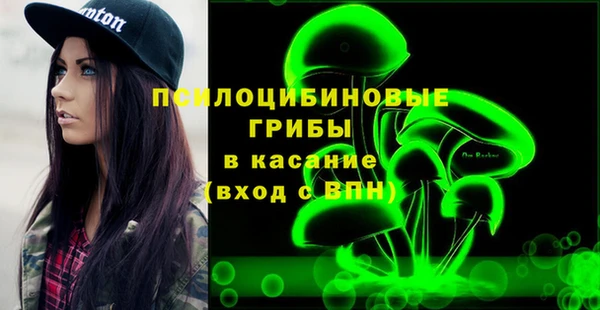 стафф Дмитров
