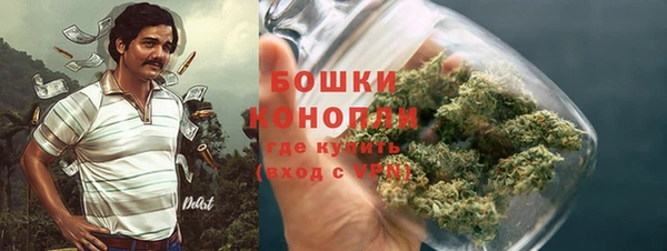 дживик Дмитриев