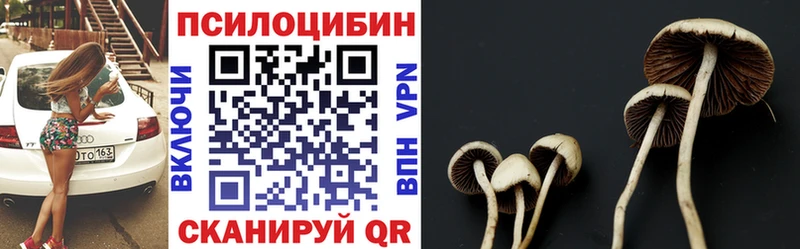 Псилоцибиновые грибы MAGIC MUSHROOMS  Ефремов 