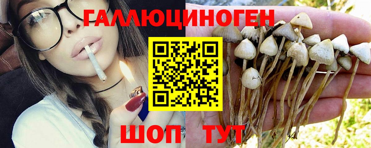 Ефремов  продажа наркотиков  Вход с VPN  Псилоцибиновые грибы ЛСД 