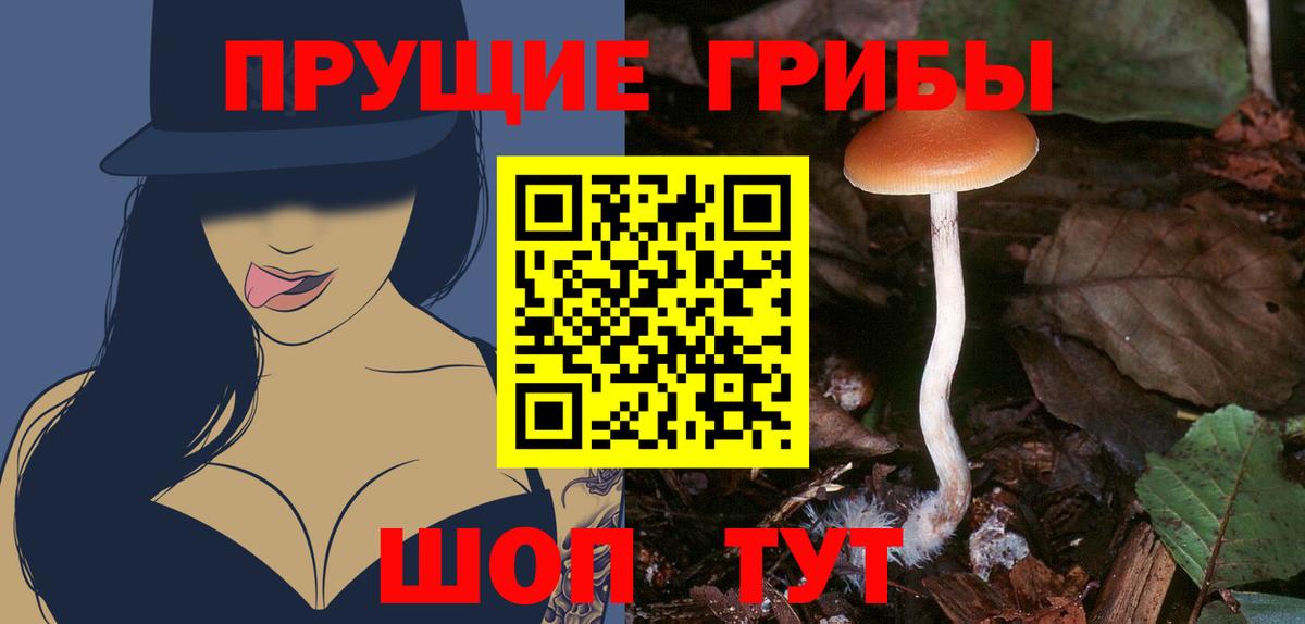 Галлюциногенные грибы Magic Shrooms Ефремов